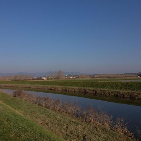 Podere Gian Battaglia Fucecchio Kültér fotó