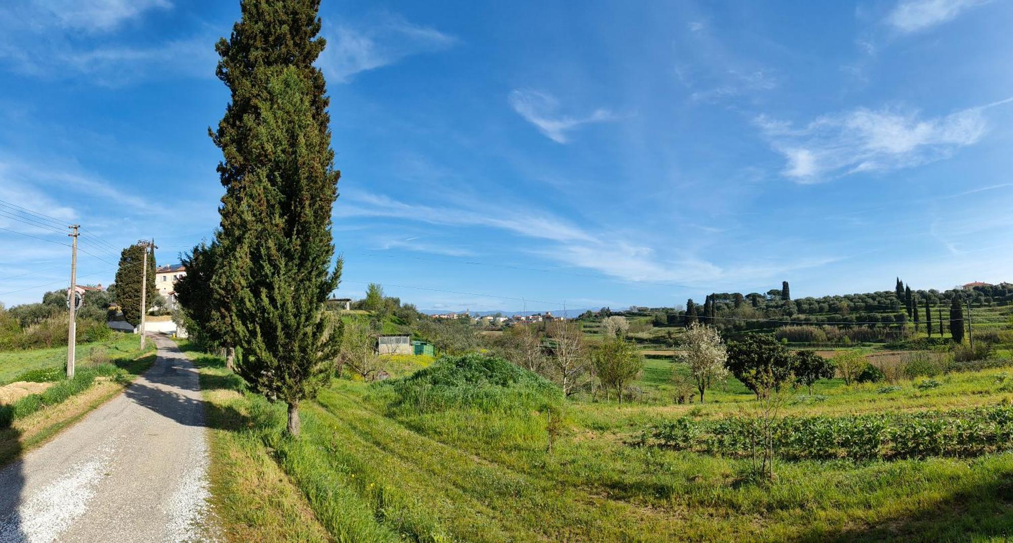 Podere Gian Battaglia Fucecchio Kültér fotó