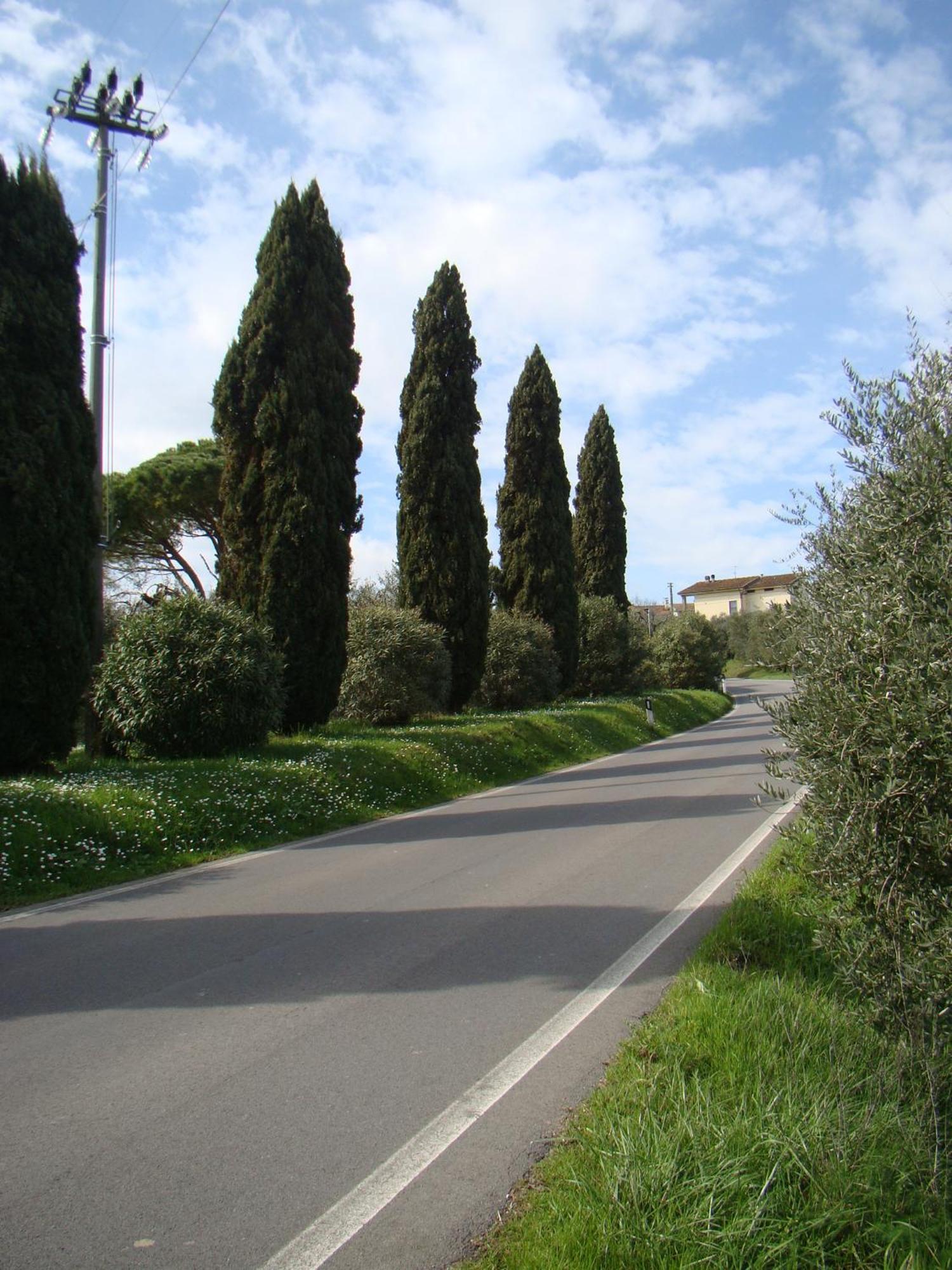 Podere Gian Battaglia Fucecchio Kültér fotó