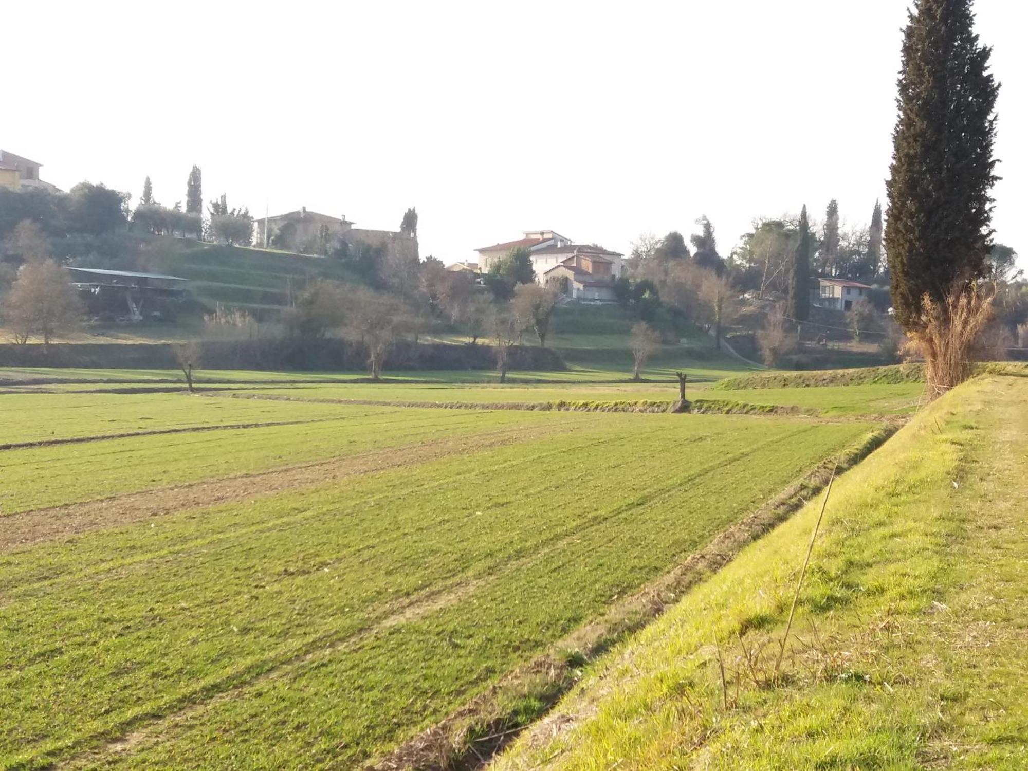 Podere Gian Battaglia Fucecchio Kültér fotó