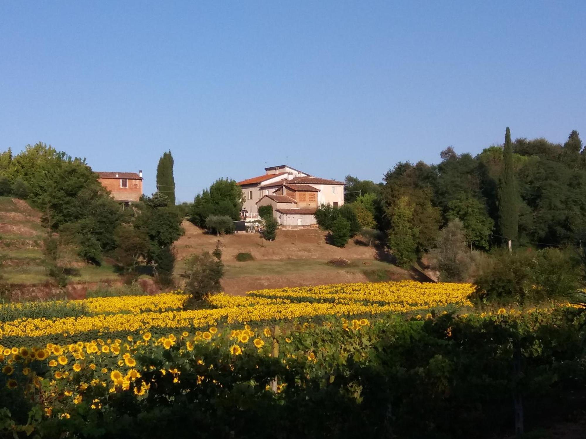 Podere Gian Battaglia Fucecchio Kültér fotó