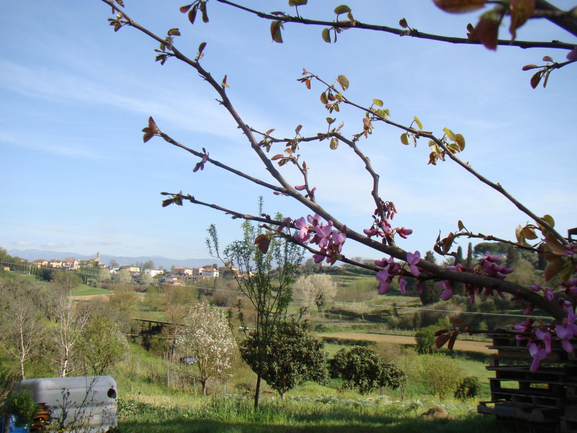 Podere Gian Battaglia Fucecchio Kültér fotó