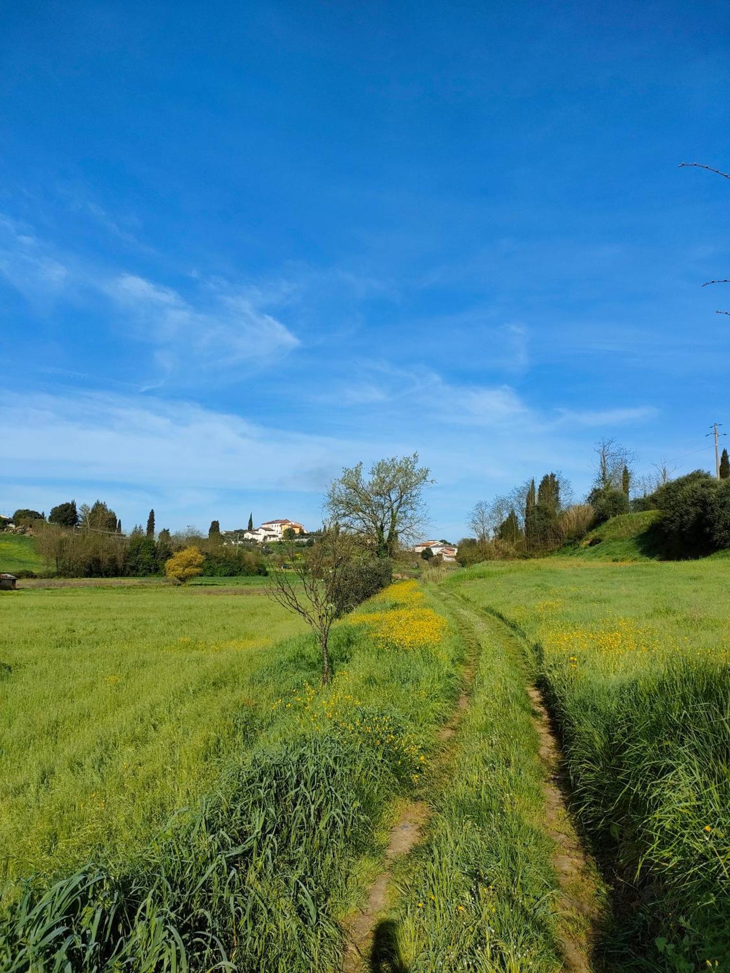 Podere Gian Battaglia Fucecchio Kültér fotó